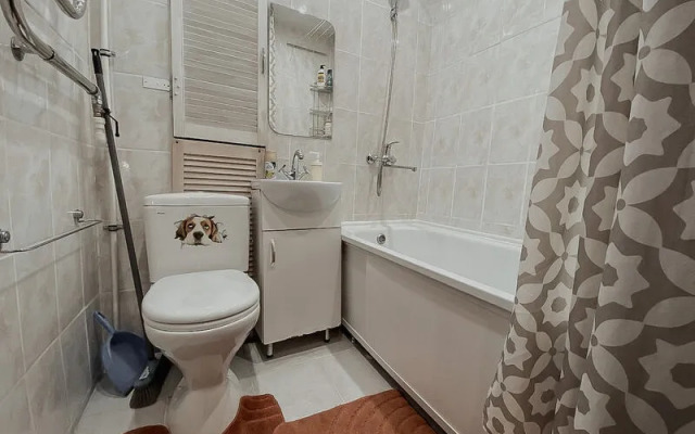 Apartments Green FOX on st. Vyacheslava Mejera, 6