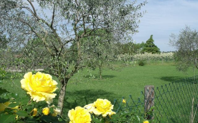 Agriturismo al Tralcio