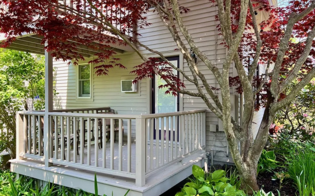 Dragonfly Guest House