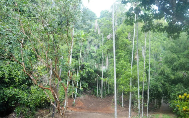 Yoho Ambanwala Tourist Bungalow
