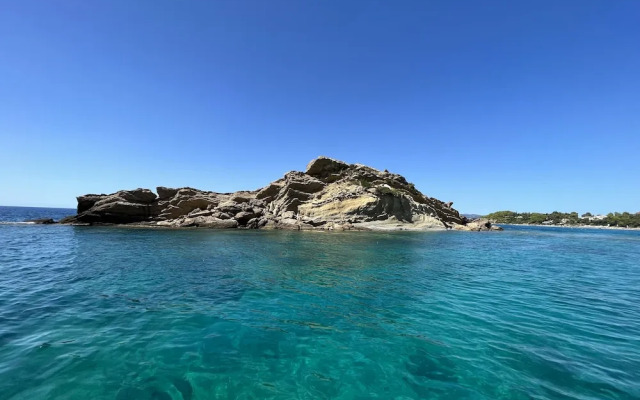 Apollonides
