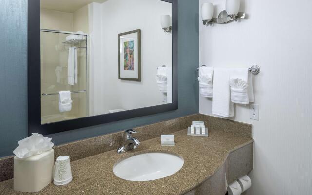 Hilton Garden Inn DFW North Grapevine