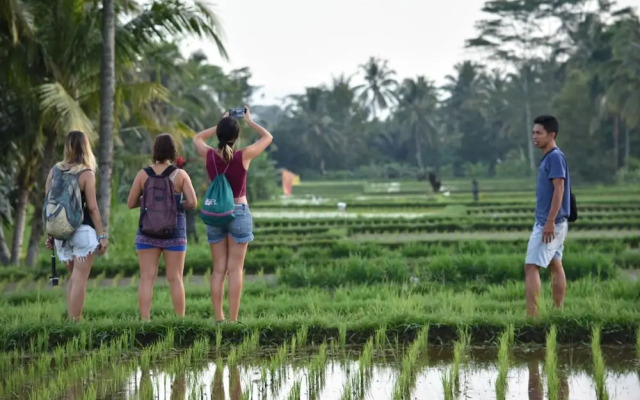 bucu hidden guest house, and meditation center