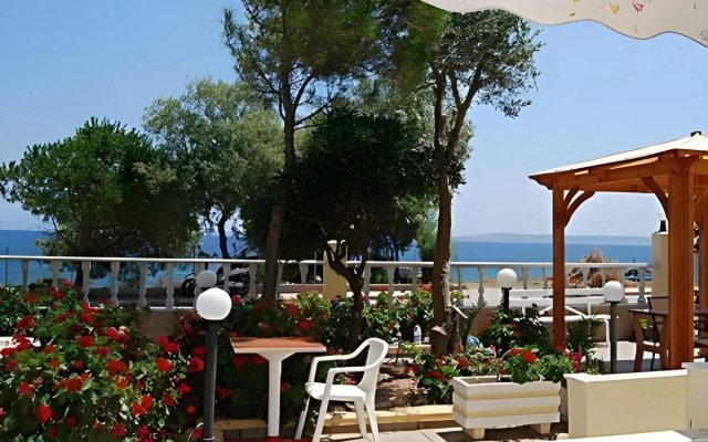 Angela Studio