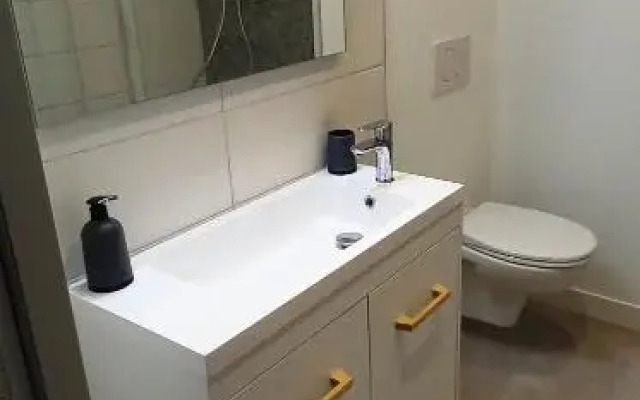 Histoire de Loire - BALZAC