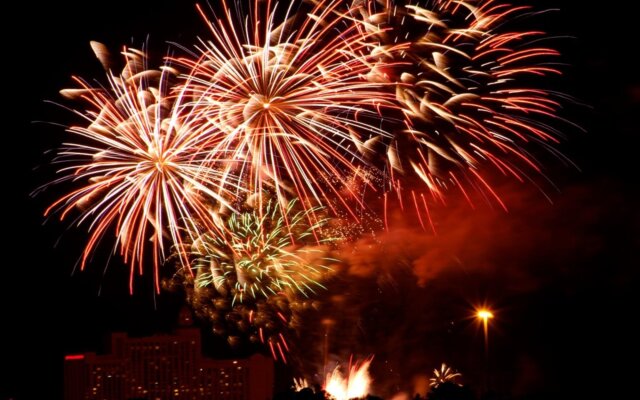 Penthouse Vision - All New!