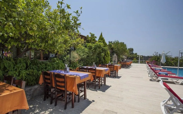 Silver Pine Hotel