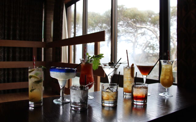 Alpine Retreat Mt Buller