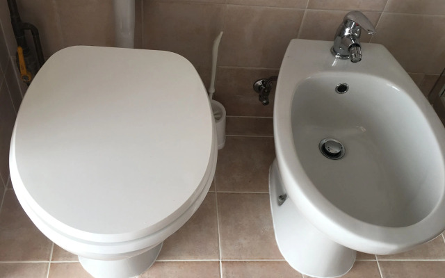 Il Viandante di Trieste