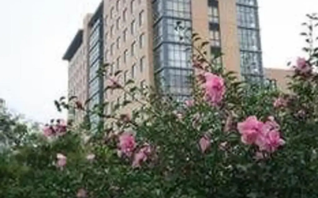 Ningbo Siji Ruili · CheerLily By Dragon