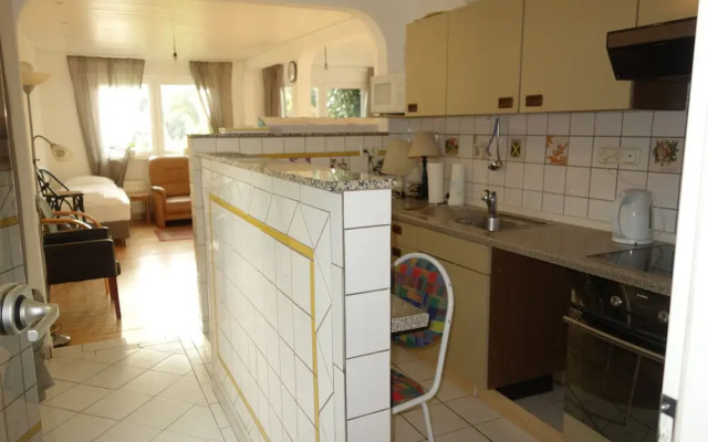 Tolstov-Hotels Large 3 Room Apartment with Garden
