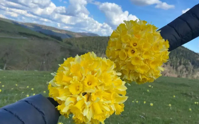 Restaurant La Renaissance