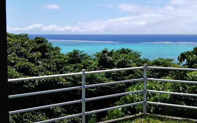 Sea Forest(Ishigakijima)