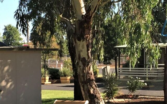 Junee Tourist Park