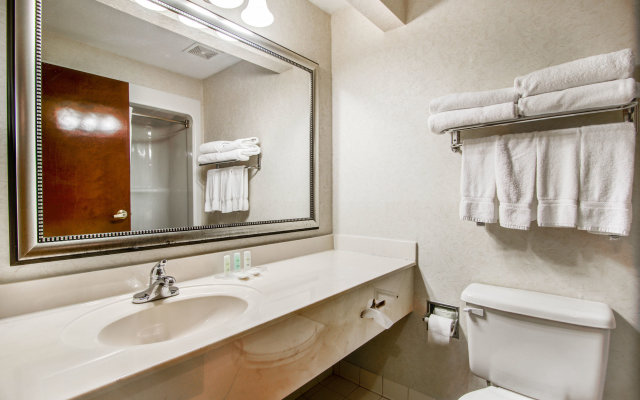 Comfort Suites near Robins Air Force Base