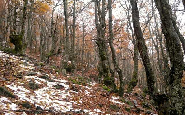 Hotel Rural La Romerosa