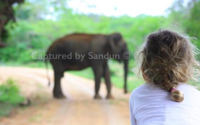 Kataragama Home Stay