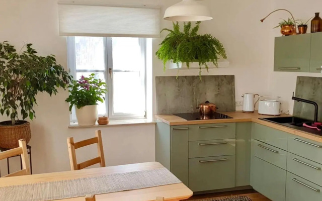 Into The Green Apartment