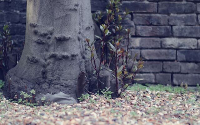 Camden Road Apartments