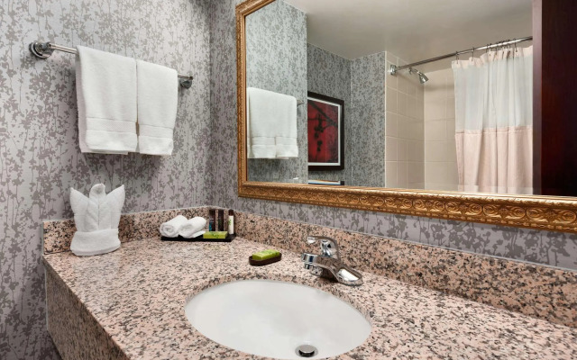 Embassy Suites by Hilton Dulles Airport