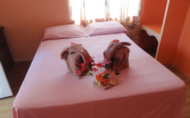 Tropical Paradise Hotel