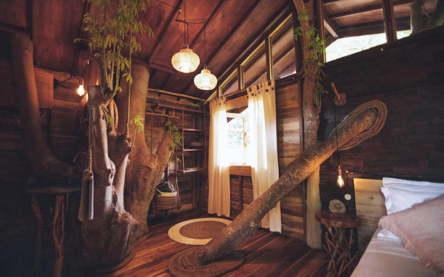 Roots Tree House