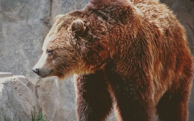 The Originals City, Hôtel Mâcon Sud