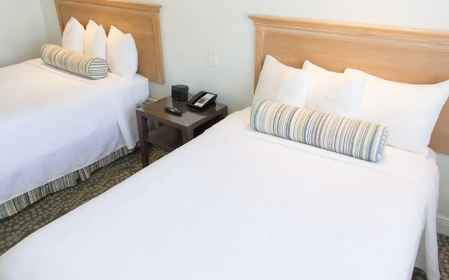Dorchester Miami Beach Hotel & Suites