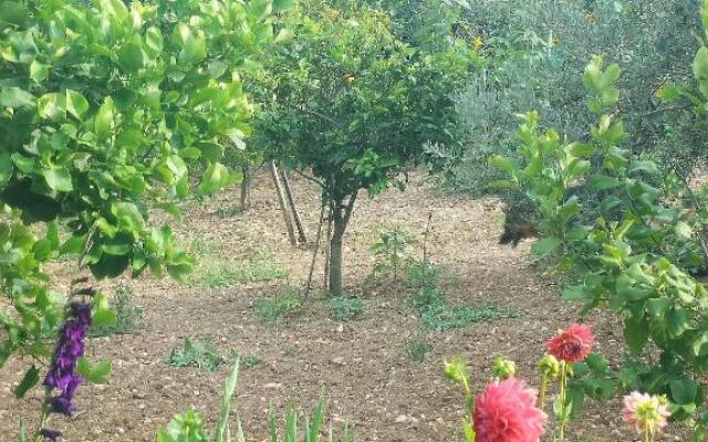 Casa vacanze Francesca