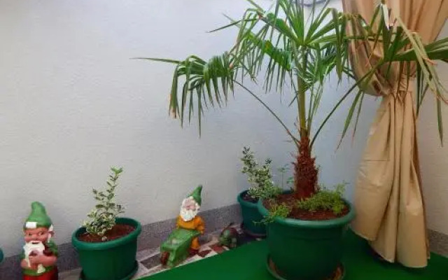 Apartments & Rooms Marinka