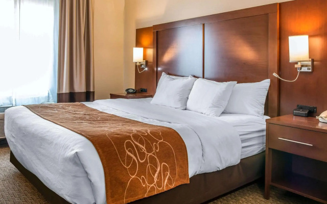 Comfort Suites Wixom
