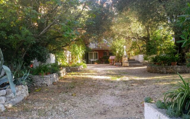 Apartment Marija - garden terrace A1 Makarska, Riviera Makarska