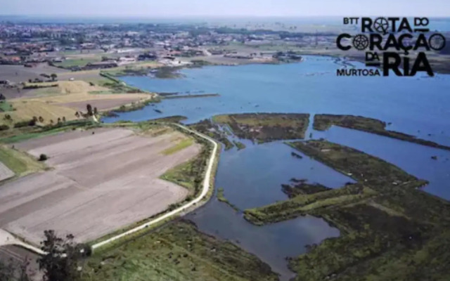 O Cantinho Entre a Ria e o Mar