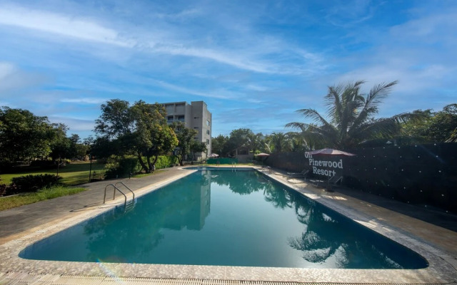 Kings Kraft Pinewood Ssan Gir