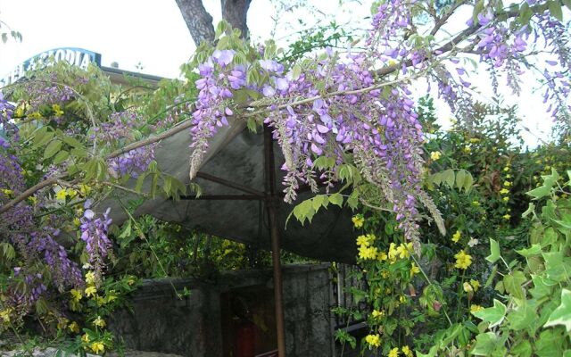 Villa Pagoda