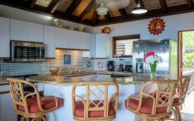 Virgin Gorda Villa Rentals