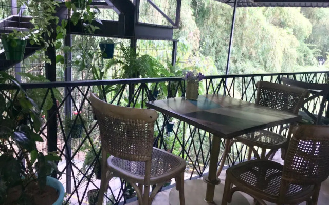Hotel Carriqui