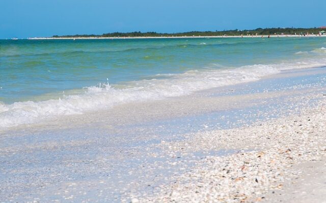 San Marco Residences 508