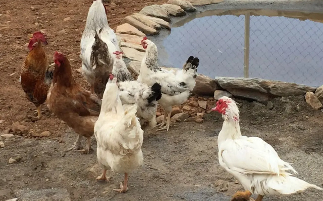 Romantic House for 2 People With Jacuzzi