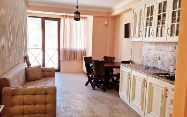 Bakuriani Mix 1 Room Apartment / Studio