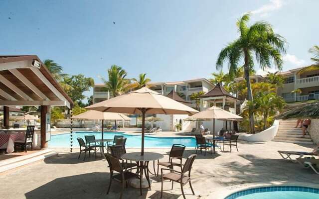 Dream Holidays Vacation