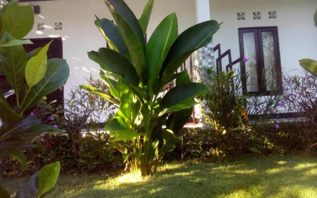 Ariata Arya Hostel