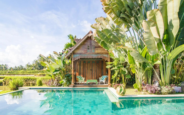 Hati Padi Cottages