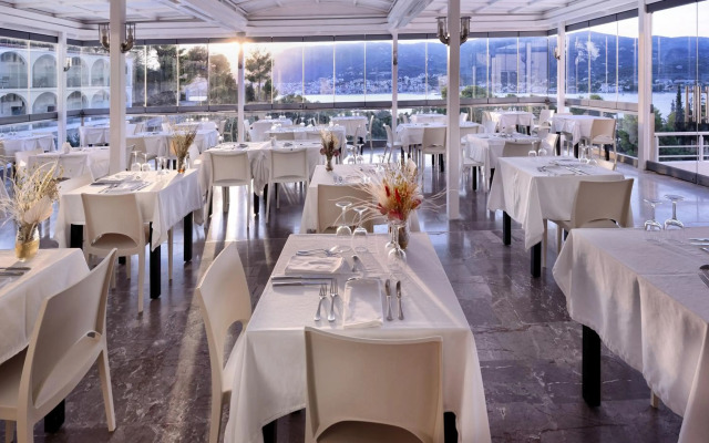 Hotel Punta