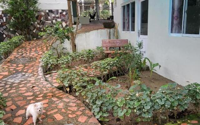 Davi hostel