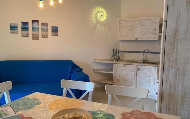 Turquoise & Wood Stylish House 23