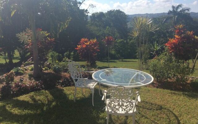 June Plum Bed and Breakfast