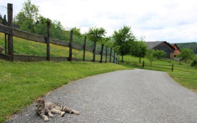 Bauernhof und Weingut Strablegg