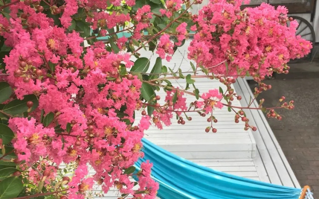 NEMARU Stay&Discovery - Hostel