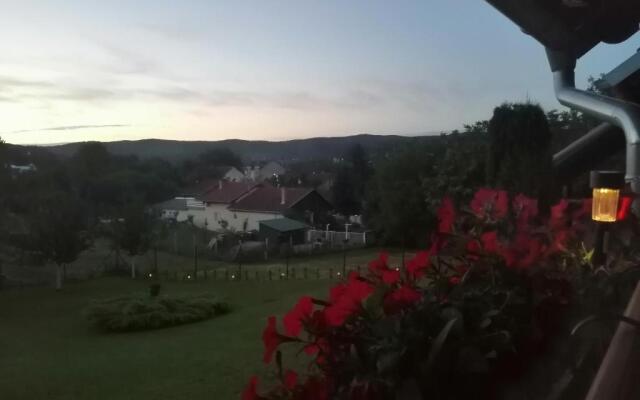 Garden 022